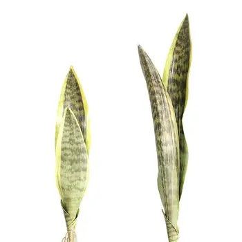Изкуствени растения Sansevieria Вътрешни саксийни тропически фалшиви дълги листа пластмасови Sansevieria клон DIY външни фалшиви растения за дома